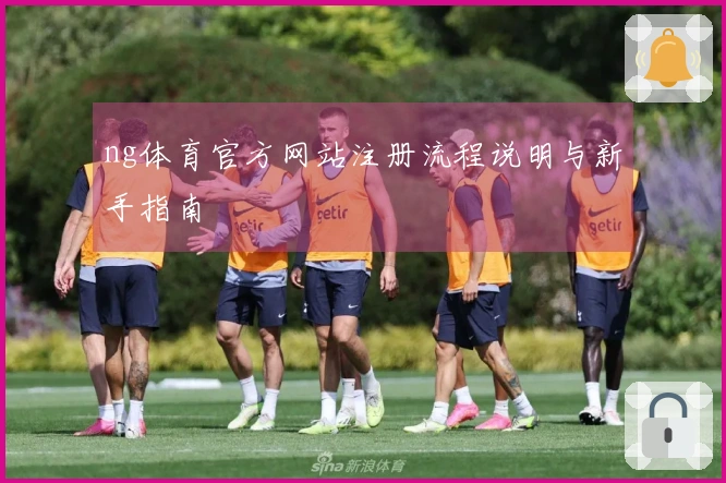 ng体育官方网站注册流程说明与新手指南